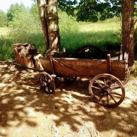 Lodge Ostoja Pawie Oko Potegowo