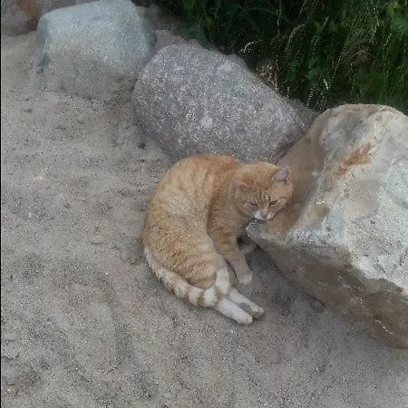 Lodge Ostoja Pawie Oko Potegowo