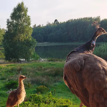 Ostoja Pawie Oko Lodge *