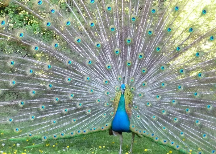 Ostoja Pawie Oko Potegowo