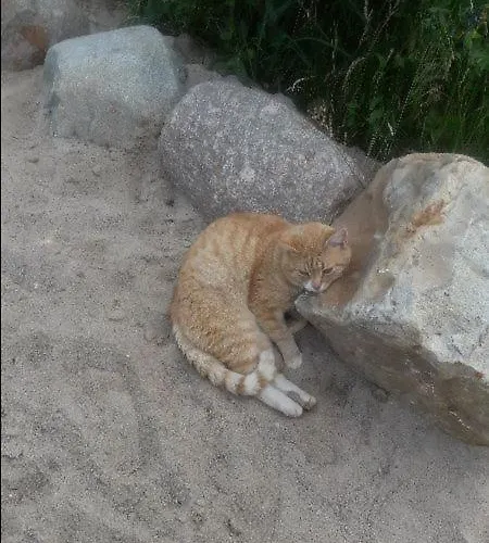 Lodge Ostoja Pawie Oko Potegowo