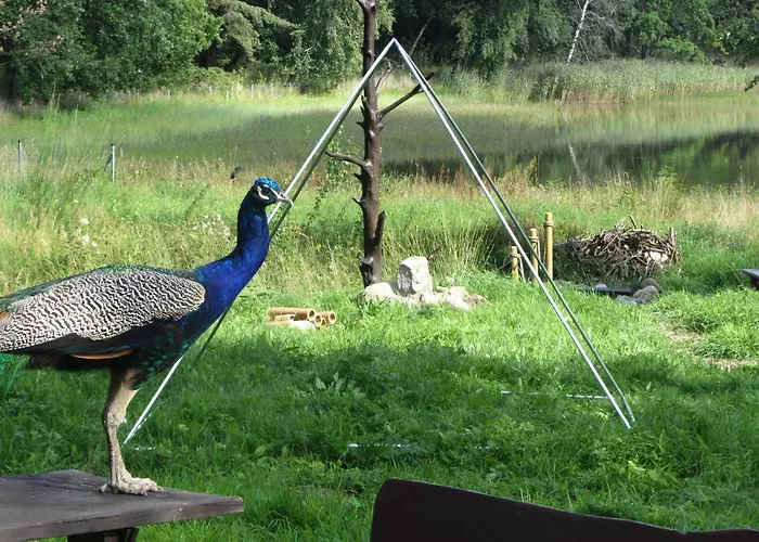 Ostoja Pawie Oko Lodge *